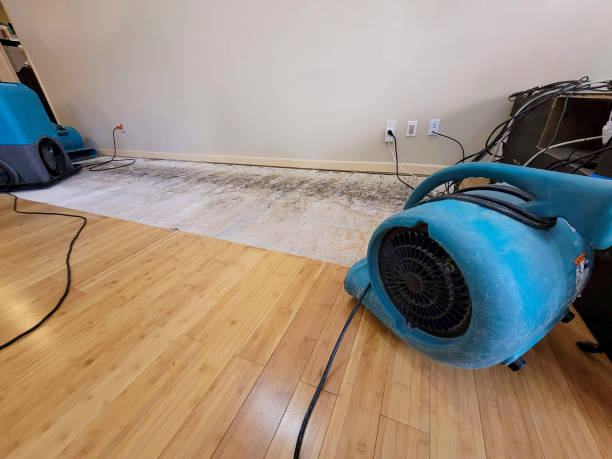 Professional Water Removal technician working in Risingsun, OH